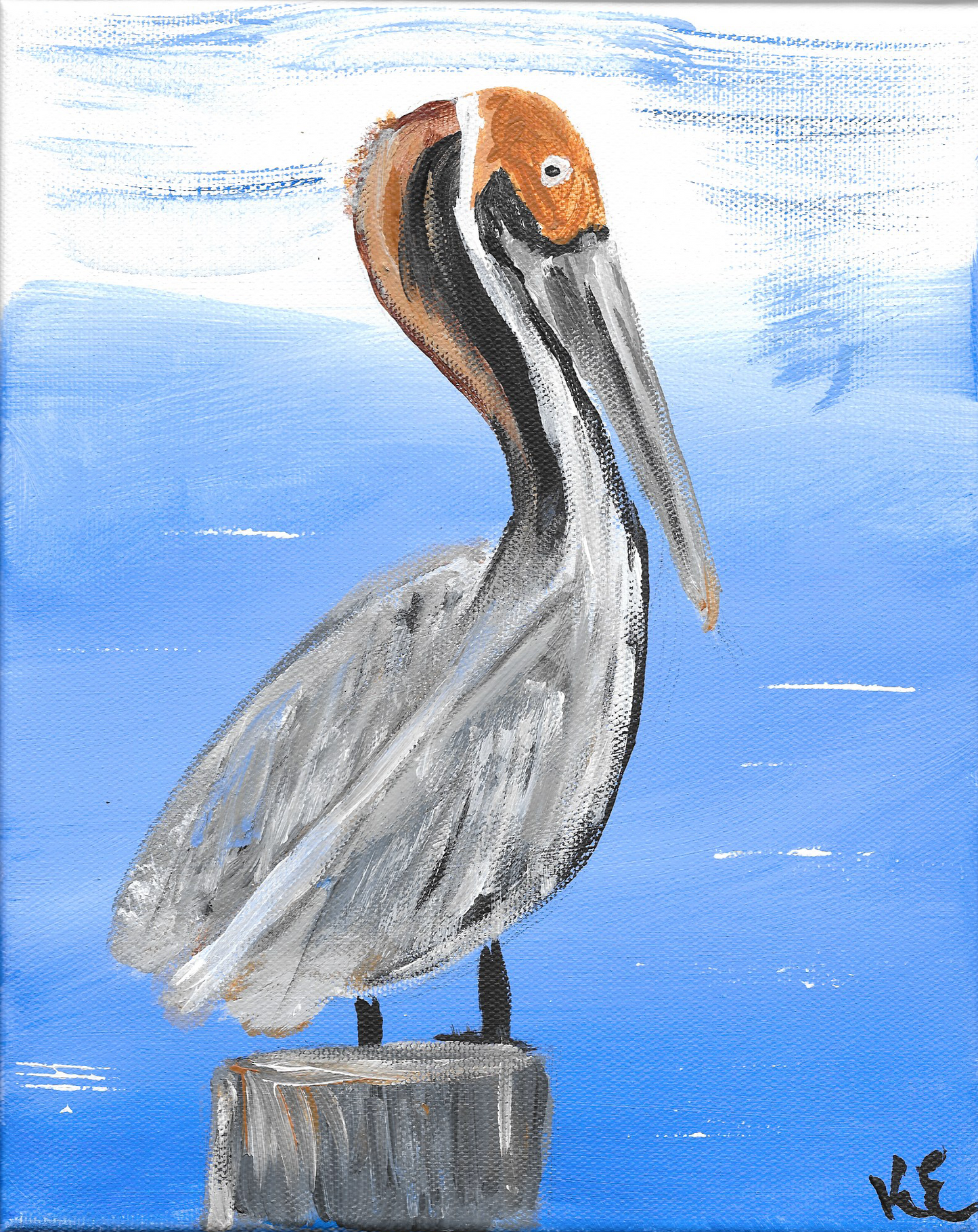 Art Print South Florida Pelican