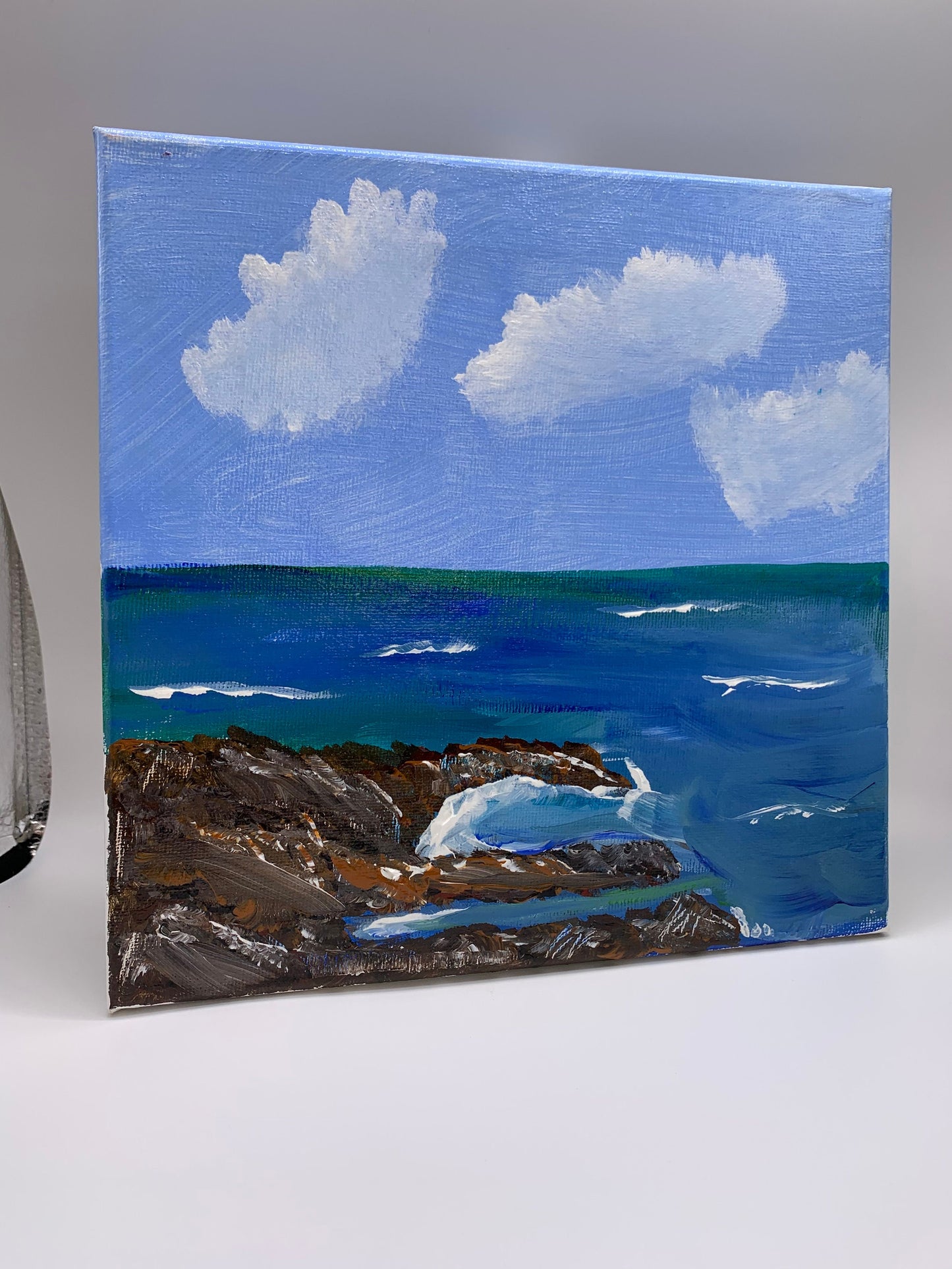 Rocky Shores 101002