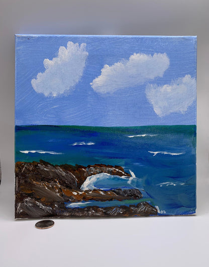 Rocky Shores 101002